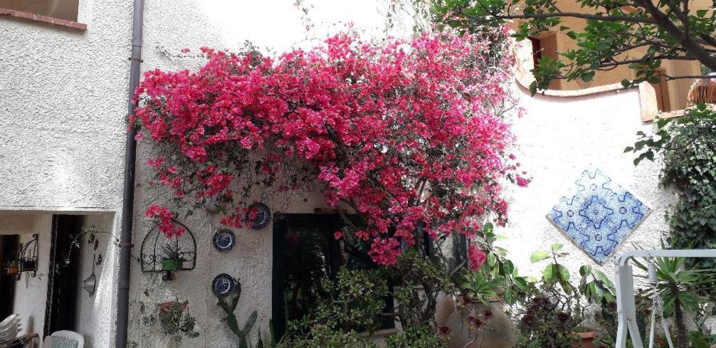 Holiday Home Cala Bianca 卡斯泰拉马莱 外观 照片